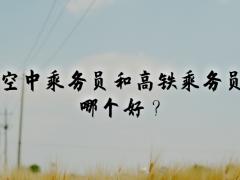 空中乘務(wù)員和高鐵乘務(wù)員哪個(gè)好？