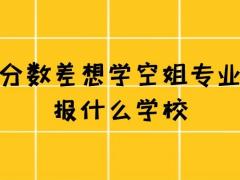 有沒(méi)有不要分?jǐn)?shù)的空姐學(xué)校？