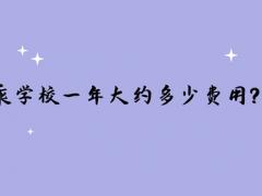 讀空乘學(xué)校一年大約多少費(fèi)用？