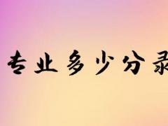 空乘專業(yè)多少分錄取？