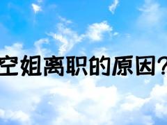 空姐離職的原因？