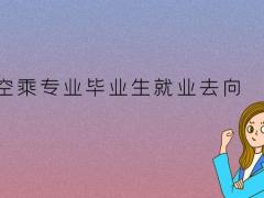 空乘畢業(yè)生可以去高鐵上班嗎？